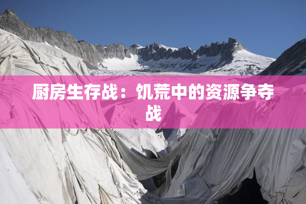 厨房生存战：饥荒中的资源争夺战