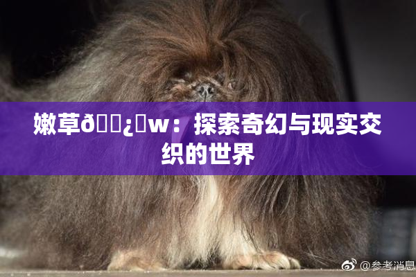 嫩草🌿‌w：探索奇幻与现实交织的世界