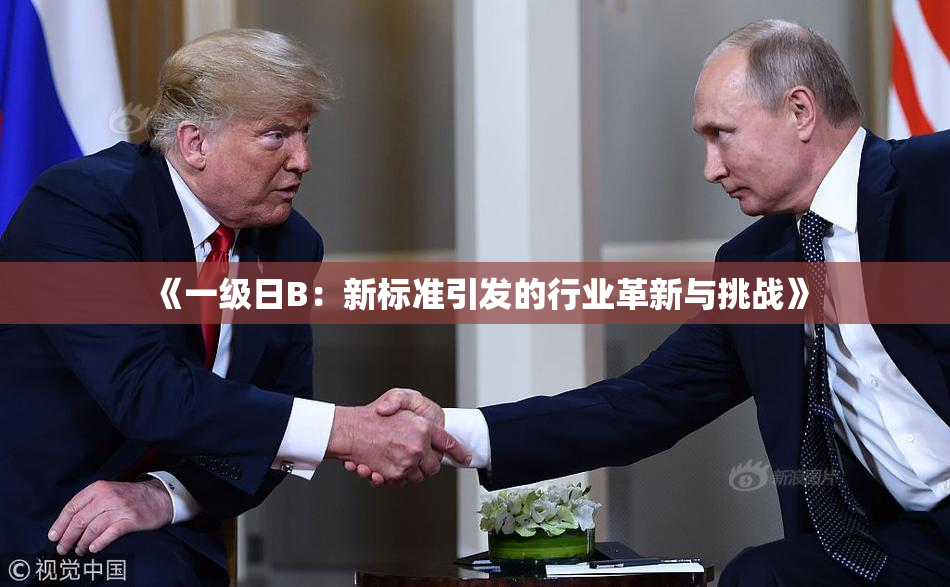 《一级日B：新标准引发的行业革新与挑战》