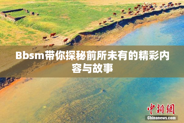 Bbsm带你探秘前所未有的精彩内容与故事