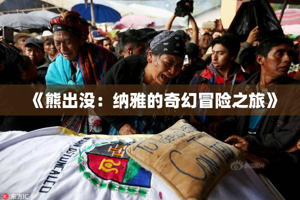 《熊出没：纳雅的奇幻冒险之旅》