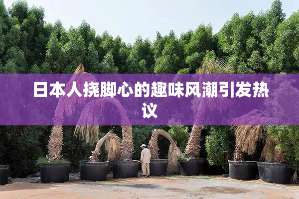 日本人挠脚心的趣味风潮引发热议