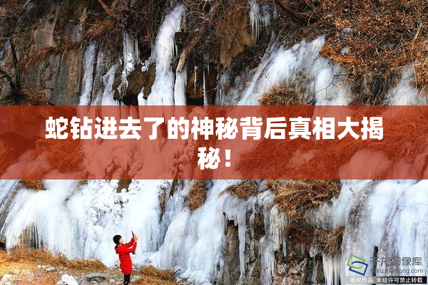 蛇钻进去了的神秘背后真相大揭秘！