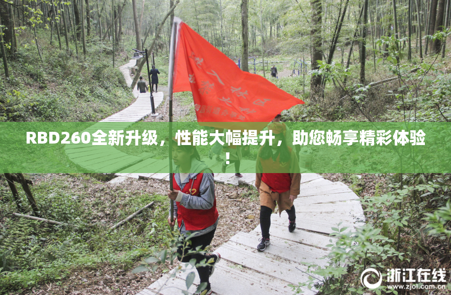RBD260全新升级，性能大幅提升，助您畅享精彩体验！