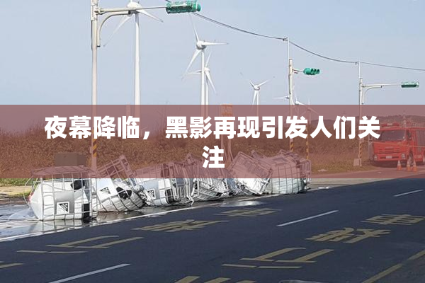夜幕降临，黑影再现引发人们关注