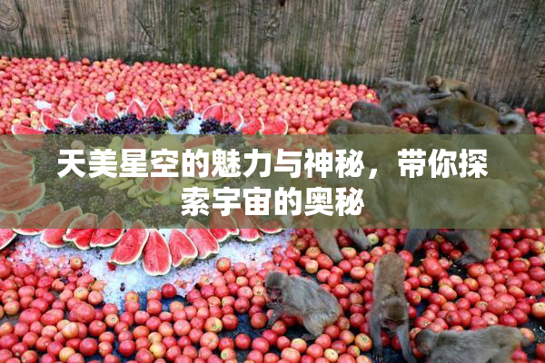 天美星空的魅力与神秘，带你探索宇宙的奥秘