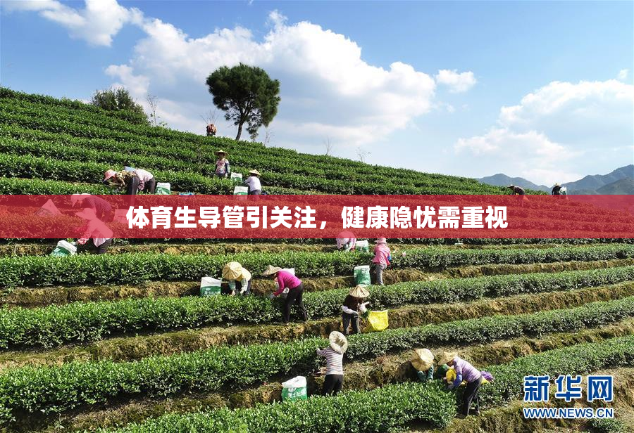 体育生导管引关注，健康隐忧需重视