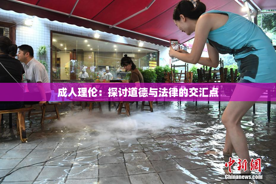 成人理伦：探讨道德与法律的交汇点