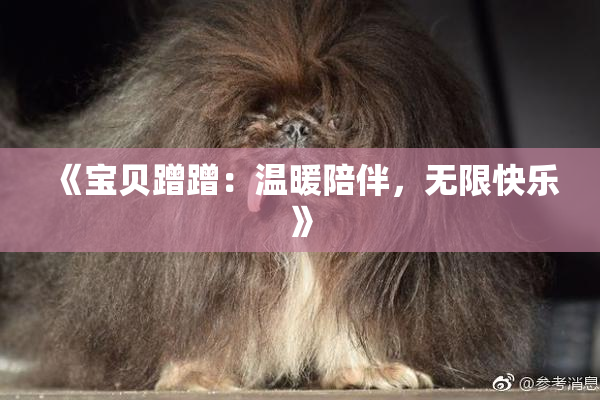 《宝贝蹭蹭：温暖陪伴，无限快乐》