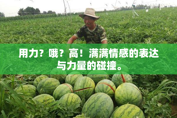 用力？哦？高！满满情感的表达与力量的碰撞。