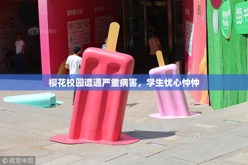 樱花校园遭遇严重病害，学生忧心忡忡