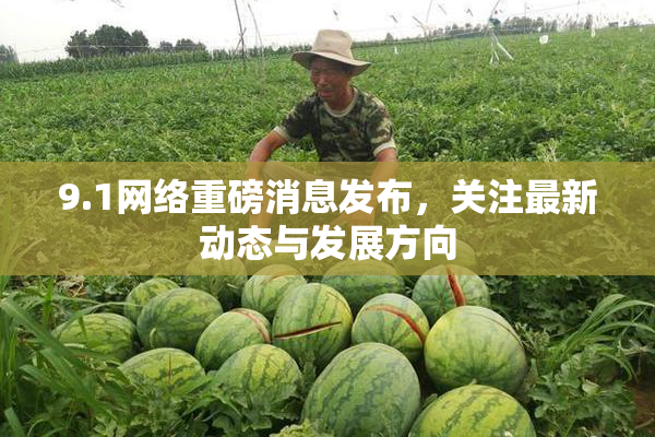 9.1网络重磅消息发布，关注最新动态与发展方向