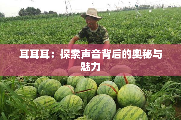 耳耳耳：探索声音背后的奥秘与魅力