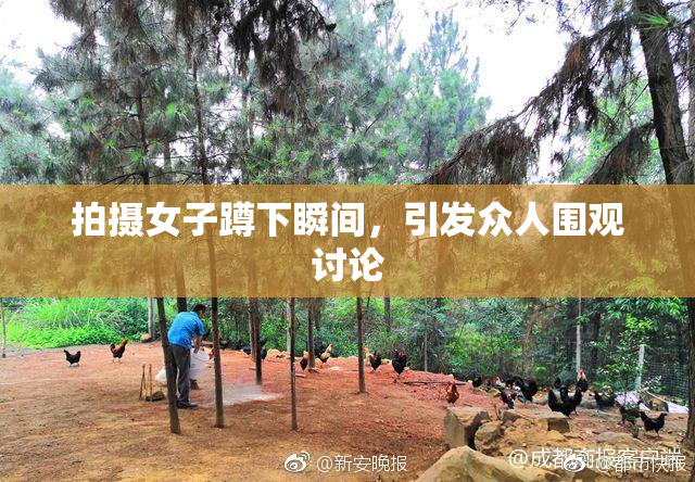 拍摄女子蹲下瞬间，引发众人围观讨论