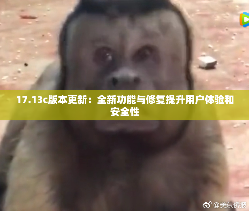 17.13c版本更新：全新功能与修复提升用户体验和安全性