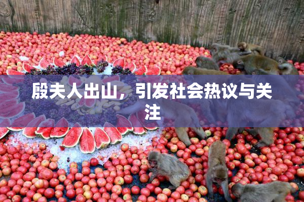 殷夫人出山，引发社会热议与关注