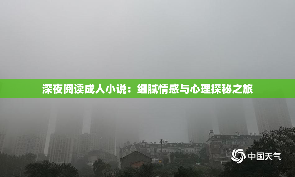 深夜阅读成人小说：细腻情感与心理探秘之旅