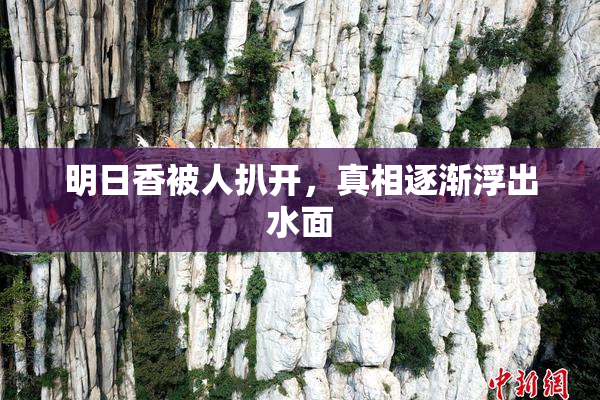 明日香被人扒开，真相逐渐浮出水面