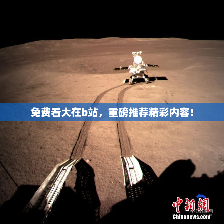 免费看大在b站，重磅推荐精彩内容！