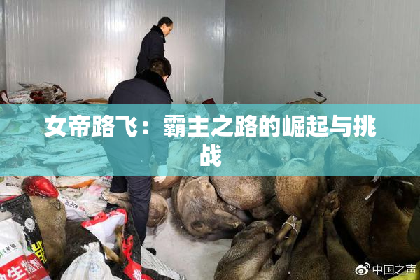女帝路飞：霸主之路的崛起与挑战