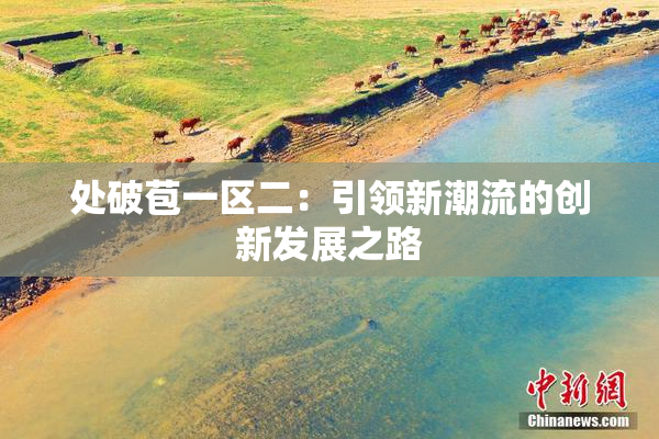 处破苞一区二：引领新潮流的创新发展之路