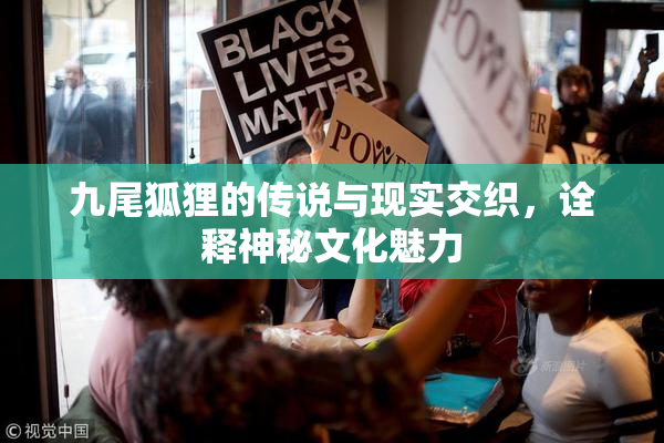 九尾狐狸的传说与现实交织，诠释神秘文化魅力