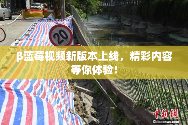 β蓝莓视频新版本上线，精彩内容等你体验！