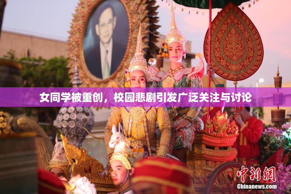 女同学被重创，校园悲剧引发广泛关注与讨论
