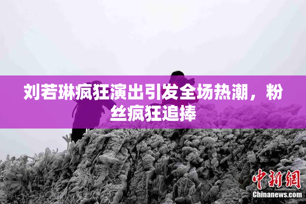 刘若琳疯狂演出引发全场热潮，粉丝疯狂追捧