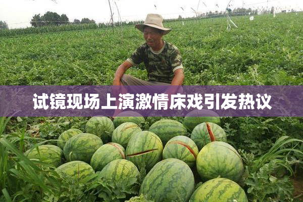 试镜现场上演激情床戏引发热议