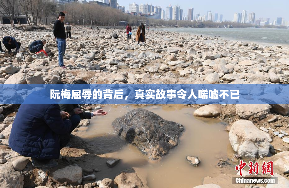 阮梅屈辱的背后，真实故事令人唏嘘不已