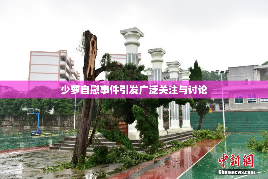 少萝自慰事件引发广泛关注与讨论