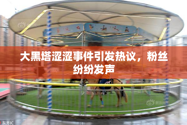 大黑塔涩涩事件引发热议，粉丝纷纷发声