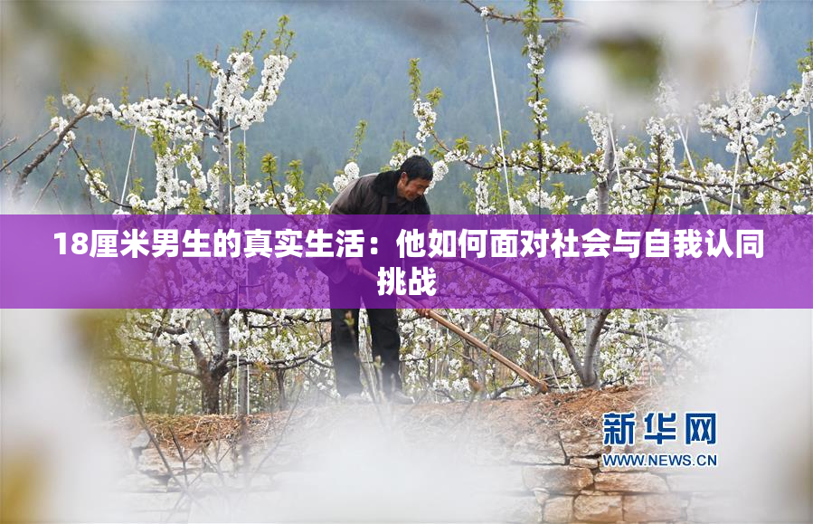 18厘米男生的真实生活：他如何面对社会与自我认同挑战