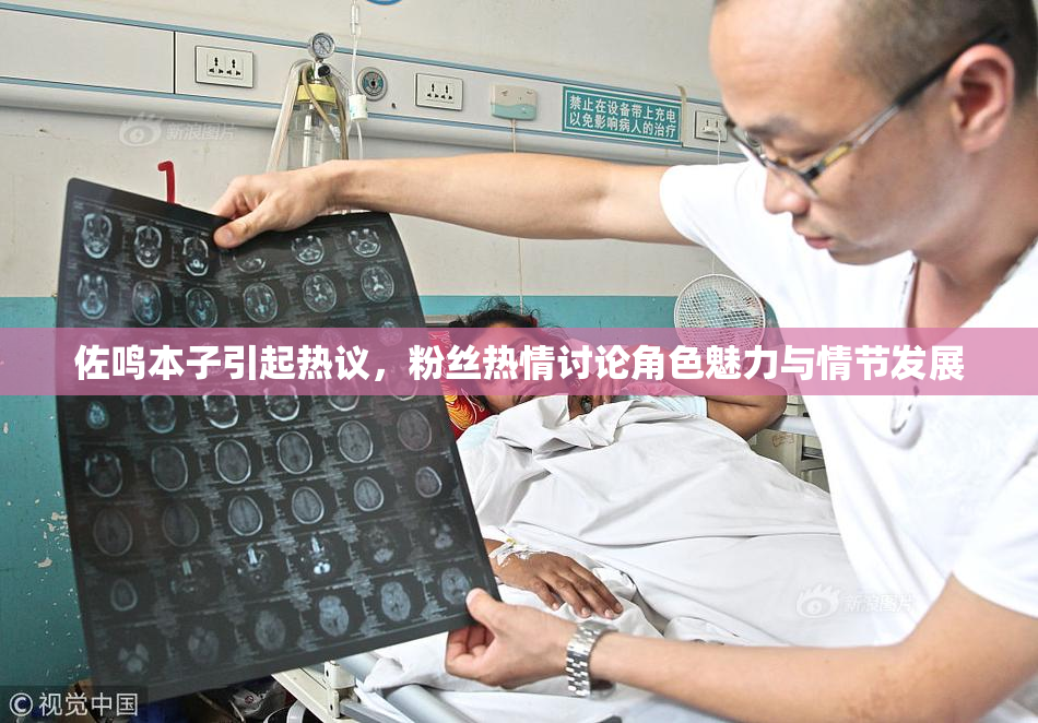 佐鸣本子引起热议，粉丝热情讨论角色魅力与情节发展
