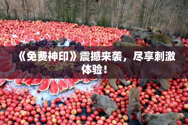 《免费神印》震撼来袭，尽享刺激体验！