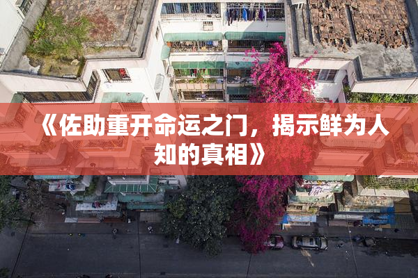 《佐助重开命运之门，揭示鲜为人知的真相》