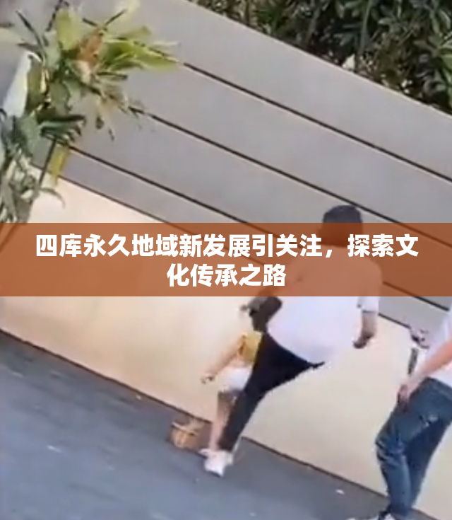 四库永久地域新发展引关注，探索文化传承之路