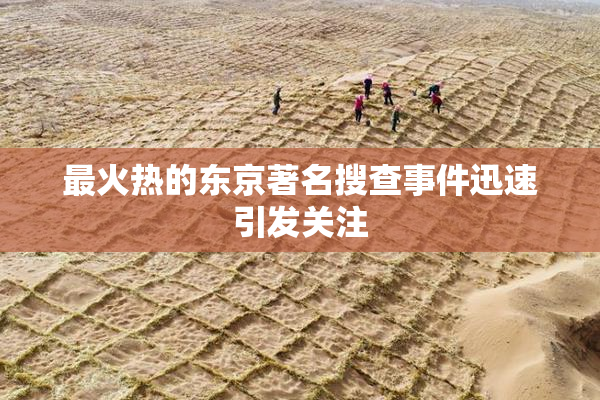 最火热的东京著名搜查事件迅速引发关注