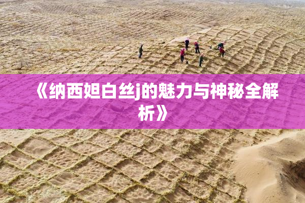 《纳西妲白丝j的魅力与神秘全解析》