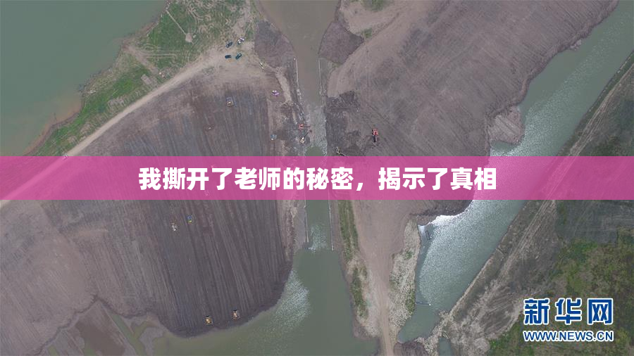 我撕开了老师的秘密，揭示了真相