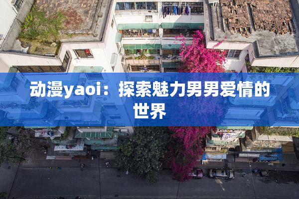 动漫yaoi：探索魅力男男爱情的世界