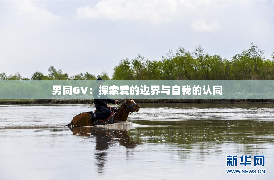男同GV：探索爱的边界与自我的认同