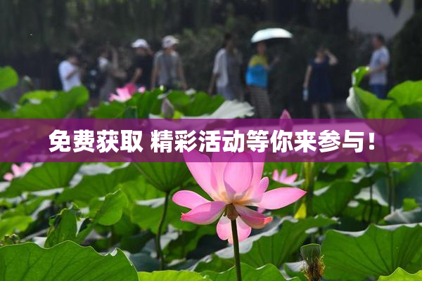 免费获取 精彩活动等你来参与！