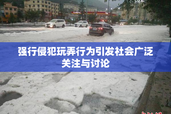 强行侵犯玩弄行为引发社会广泛关注与讨论