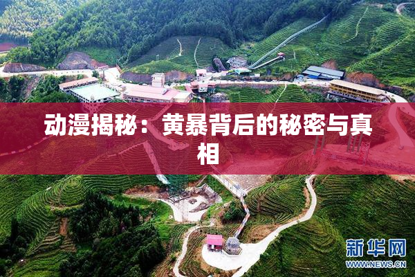 动漫揭秘：黄暴背后的秘密与真相