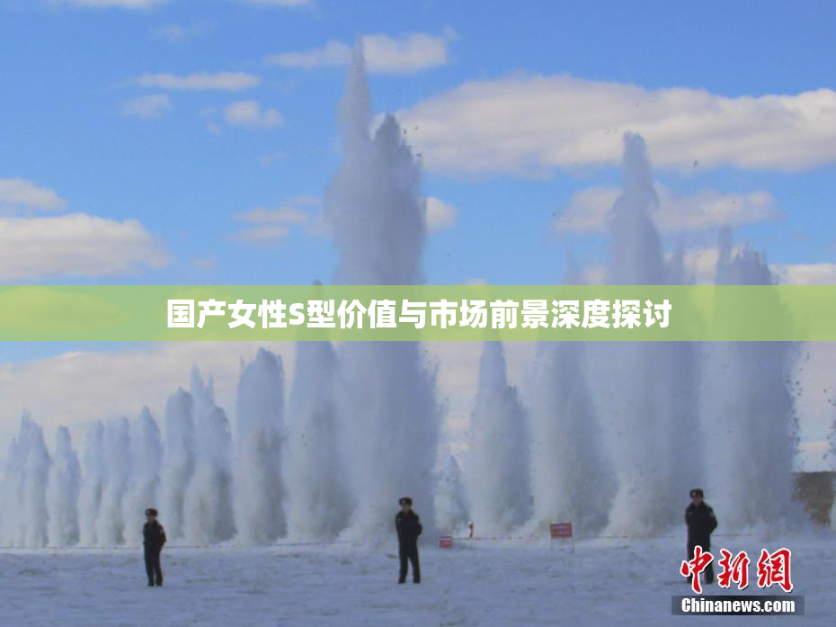 国产女性S型价值与市场前景深度探讨