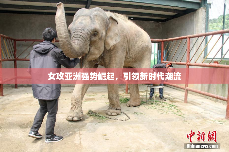 女攻亚洲强势崛起，引领新时代潮流