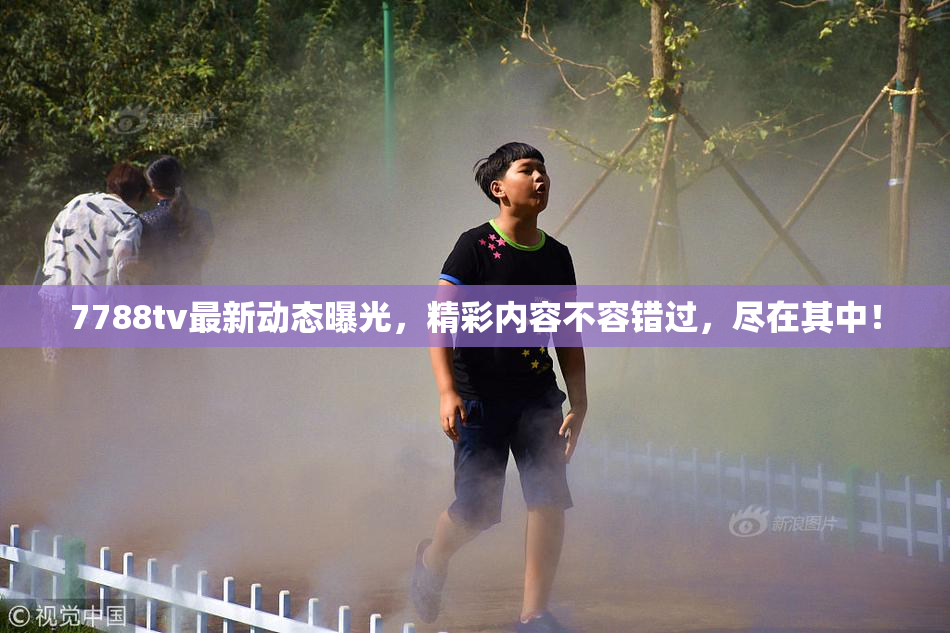 7788tv最新动态曝光，精彩内容不容错过，尽在其中！