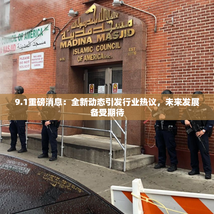 9.1重磅消息：全新动态引发行业热议，未来发展备受期待